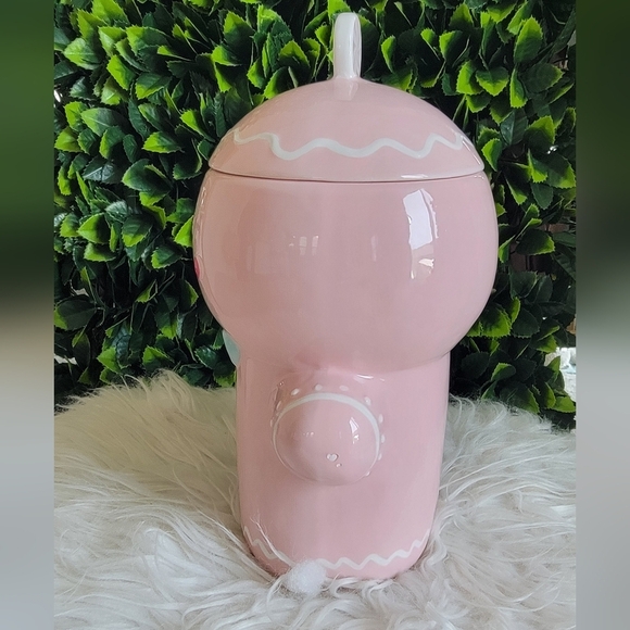 🍪 Tik Tok Viral Lang Pink Peppermint Gingerbread Girl Cookie Jar 🍪 - Picture 4 of 12